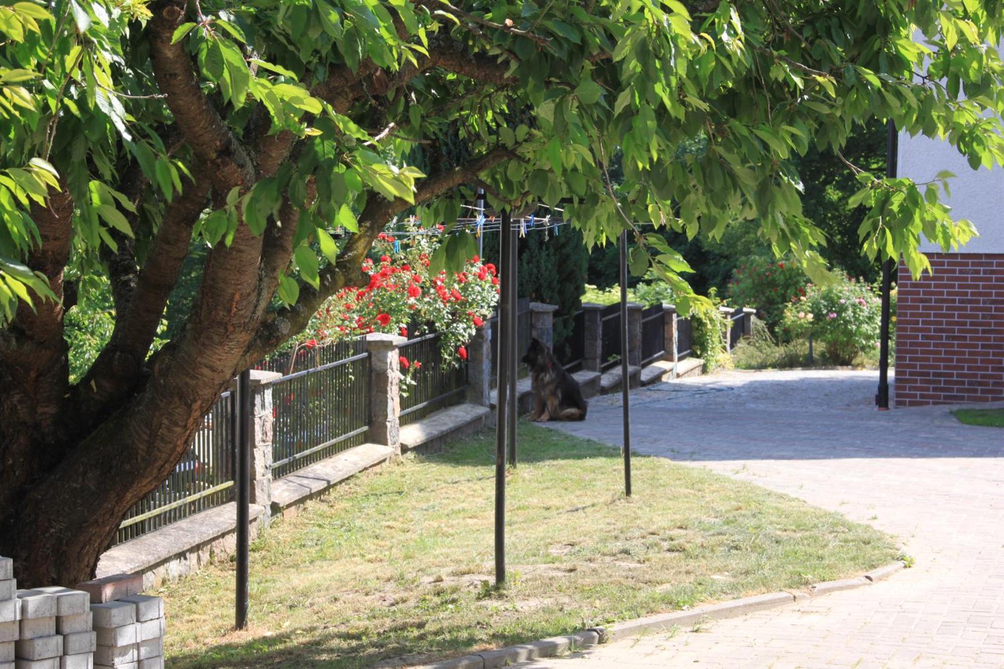 Mira - Mira Pokoje Z Widokiem Na Jezioro Chmielno Εξωτερικό φωτογραφία